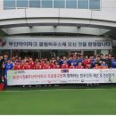 부산시청 헤럴드경제