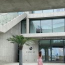 상담카페'향유' | 풀에서 한국형 몰디브 휴가 바이브! 충남 보령 럭셔리 풀빌라 리조트 추천 인피니티 풀 스탠다드 객실 후기