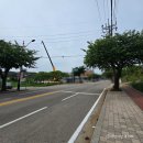 갈천동 | [강원도 삼척시] 부일막국수 - 갈천동 삼척해변역 삼척해수욕장 쏠비치 삼척 오션플레이 막국수 식사