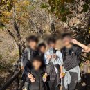 세종 고운 태권도 이미지