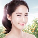 짱 이미지