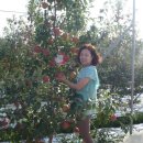 한민농장 이미지