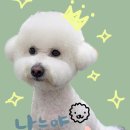 파이널나인홀덤펍부산