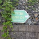동네당구장 | 경북 경주 양북면 연대산 산행후기(2024.8.22, 목요일)
