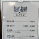 츄르한입 이미지