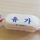 유가향 이미지