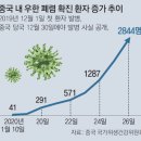 집단외출