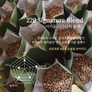 카페220