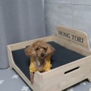 제스퍼우드공방