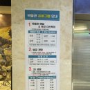 안면도쥬라기공원안면도쥬라기박물관 네이버블로그