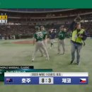 오피셜) WBC 호주 vs 체코 경기결과 이미지