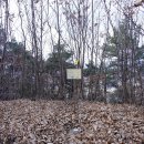 소보시장 이미지