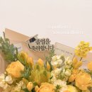 후리지아 이미지