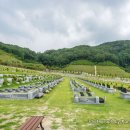 이름없는 묘원(비석 이미지