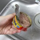 히든참치