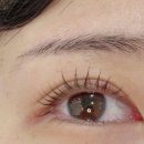 화인 | 논현속눈썹펌 잘하는곳 화인뷰티 리얼후기