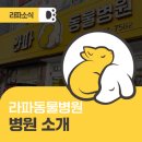 라파동물병원 네이버블로그