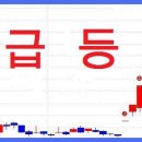 진양코리아 이미지
