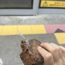 연세봄스킨 | 종강만을 기다려왔다우