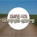 [오근장역렌트카] 당황스러운 로드킬 사고 이렇게 대처하세요 이미지