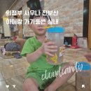 천보산 물사랑 수영장 | 의정부 천보산 사우나 아이랑 가볼만한곳 실내