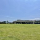 개들랜드 이미지