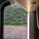 지M Tourist Hostel | [UK/Jul2025] 5일차 에든버러성, Port of Leith Distillery, 칼턴힐