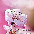 이모네설렁탕 - 종로구 종로 232-4 | 이모네설렁탕
