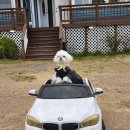 오아시스펜션 이미지