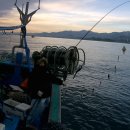 현대낚시 이미지