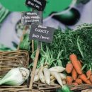 김시효의원 이미지