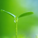 옥산프라자 이미지