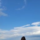 바다정원 이미지