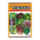 씨앗 이미지