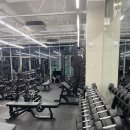 언디핏피트니스×더탠 이미지