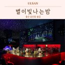 별빛노래주점 - 남구 삼산로318번길 16 | 울산 삼산 술집 별이빛나는밤 데이트 하기 좋은 LP바 추천