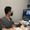 하하 동물병원 | 광산구동물병원 '고양이 특화 병원'을 찾아야 하는 이유? <+보호자님들의 후기>