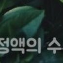 에스엘비푸드 네이버블로그