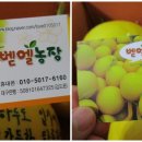 벧엘농장 이미지