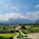 속초삼성동물병원 | 속초맛집 울산바위 환상뷰를 한눈에 속초 카페 긷 내돈내산 후기