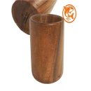 포크기타(실용) 이미지