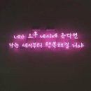 노벰버11