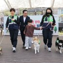 펫119 중도일보