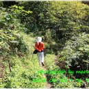 외연도둘레길 이미지