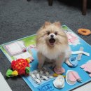 오늘의 개스트 이미지