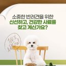 에코세븐