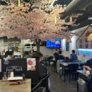 육회한 뭉티기 이미지