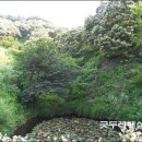 밤산농원 이미지