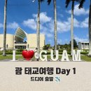 (주)드림렌트카 | 괌 태교여행 1일차 | 임신 24주 임산부 ETA・eSIM・세관신고서 준비 새벽 비행 후기