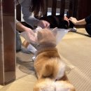 금강할인마트